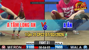 Trận 31 CPC2 7/3/2026 - Đỏ Canh Chặn Đâm Xanh Gục Tại Chỗ Nhanh Gọn
