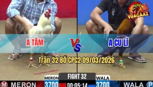 Trận 32 Bồ CPC2 9/3/2026 - Khét Điềm Tĩnh Đá Bướm Hư Hình Tuyệt Đối