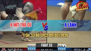 Trận 33 Bồ CPC2 9/3/2026 - Úa Đá Khét Muốn Banh khét Đá Lại Chân Úa Té