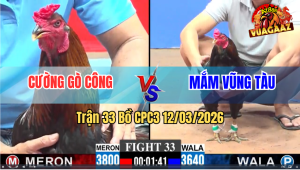 Trận 33 Bồ CPC3 12/3/2026 - Que Đá Điều Như Cha Đánh Con Điều Rinh Ra Nhanh Gọn