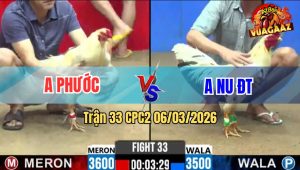 Trận 33 Bồ CPC2 6/3/2026 - Bướm Siết Vô Đâm Cây Nghiệt Úa Chết Tại Chỗ