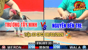Trận 33 CPC3 8/3/2026 - Điều Cọp Trọc Cổ Về Bờ Phút 90 Quá Hay