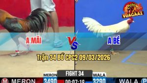 Trận 34 Bồ CPC2 9/3/2026 - Úa Canh Chặn Đá Chân Đỏ Gãy Dò Thua Đáng Tiếc