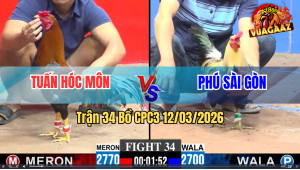 Trận 34 Bồ CPC3 12/3/2026 - Điều Đá 1 Tay Nước Đâm Chuối Xỉu Trên Tay