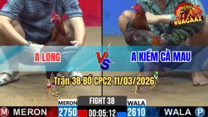 Trận 38 Bồ CPC2 11/3/2026 - Xanh Đá Đỏ Muốn Banh Đỏ Đá Phản Lại Chân Xanh Gãy Dò