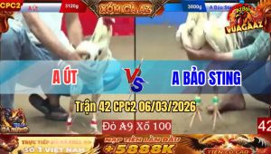 Trận 42 Bồ CPC2 6/3/2026 - Anh Bảo Kết Hợp Anh Kiểm Về Bờ Thành Công