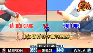 Trận 46 Bồ CPC3 10/3/2026 - Xanh Đá Như Phát Xít Mấy Chân Đâm Đỏ Lật Xe