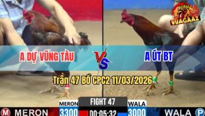 Trận 47 Bồ CPC2 11/3/2026 - Xanh Chấp 3 Chấm Đá Mấy Chân Đâm Đỏ Gãy Dò Nhanh Gọn