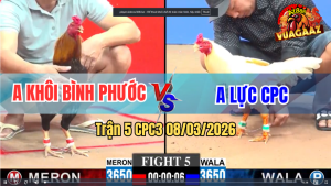 Trận 5 CPC3 8/3/2026 - Úa Đá Điều Ói Điều Đá Lọt Cây Bướm Gãy Dò Chạy