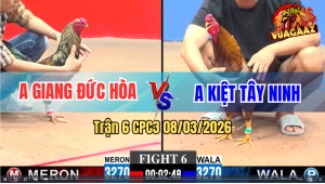 Trận 6 CPC3 8/3/2026 - Khết Đá Như Xe Đụng Đâm Chuối Gãy Cánh Nhanh Gọn