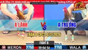 Trận 8 Bồ CPC2 4/3/2026 - Khét Canh Chặn Đâm Điều Té Tuyệt Đối Hết Cứu