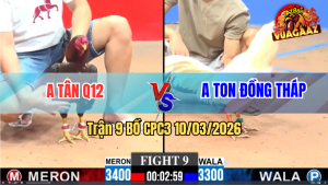 Trận 9 Bồ CPC3 10/3/2026 - Úa Chụp Siết Mấy Chân Điều Ói Chết Tại Chỗ