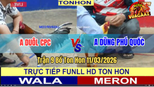 Trận 9 Bồ TonHon 11/3/2026 - Bướm Lao Vào Như Tên Lửa Chỉ Vài Chân Hạ Điều Đo Ván