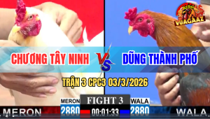 TRẬN 3 CPC3 03/3/2026 - Úa Khôn Khéo Đá Điều Cây Nghiệt Hết Cứu