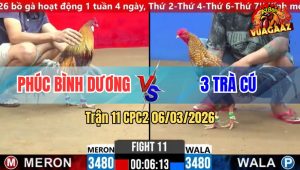 Trận 11 CPC2 06/03/2026