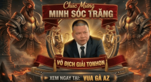 Đương Kim Vô Địch Giải Tonhon Ngày 11/3/2026