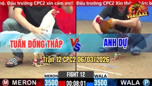 Trận 12 CPC2 18/01/2026
