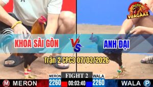 Trận 2 CPC3 07/03/2026