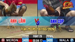 Trận 29 CPC2 07/03/2026