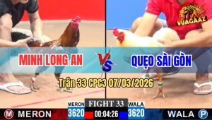 Trận 33 CPC3 07/03/2026