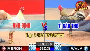 Trận 9 CPC3 07/03/2026