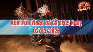 Xem Full Video Đá Gà CPC5 Ngày 02/03/2026