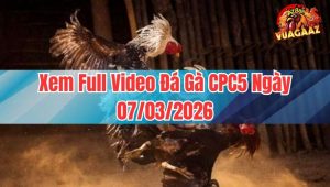 Xem Full Video Đá Gà CPC5 Ngày 07/03/2026